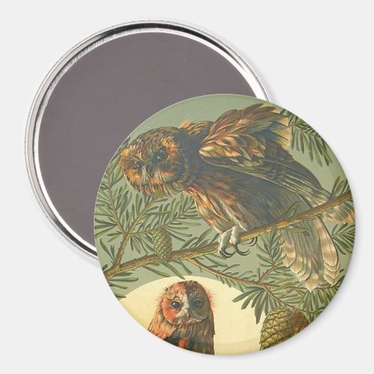 Jugendstil Anton Seder Eule braun-gelb Magnet (Vorderseite/Rückseite)