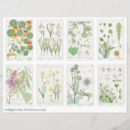 Jugendstil Blumen Collage Blatt Verneuil
