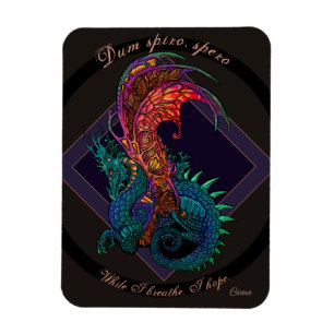 Jugendstil-Drache mit lateinischem Motto Magnet