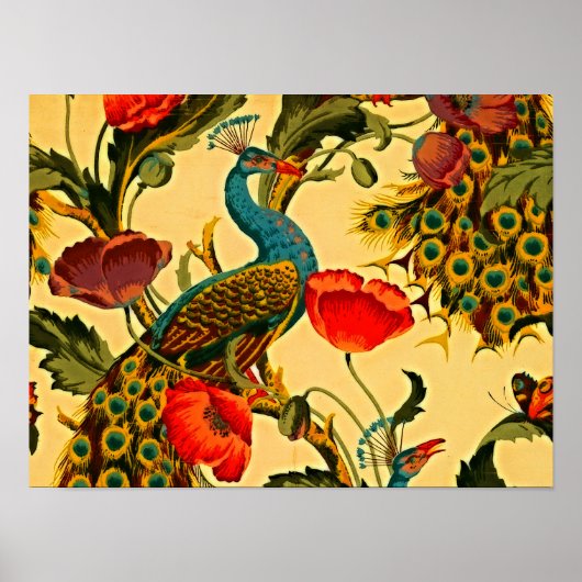 Jugendstil-Elegance: Sidewall, The Peacock, 1896 Poster (Vorne)