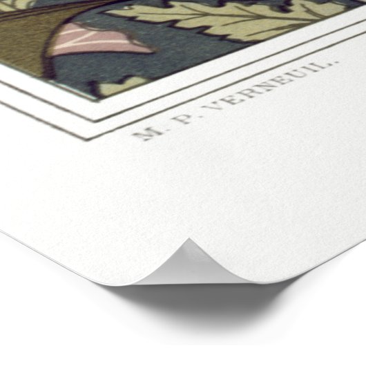 Jugendstil-Fledermäuse und Campanulas blühende Tex Poster (Ecke)