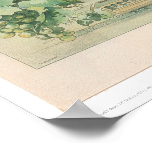 Jugendstil-Medoc-Weinkeller und Weinkeller (1213A) Poster (Ecke)