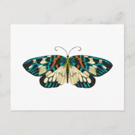 Jugendstil Schmetterling Postkarte