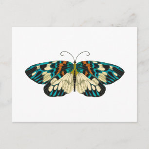 Jugendstil Schmetterling Postkarte