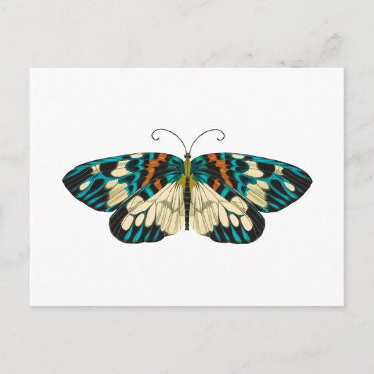 Jugendstil Schmetterling Postkarte (Vorderseite)