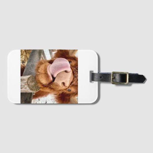 Juggling Daisies Daphne Gepäckmarke Gepäckanhänger (Vorderseite (Horizontal))