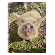 Juggling Daisies Mona-Notebook