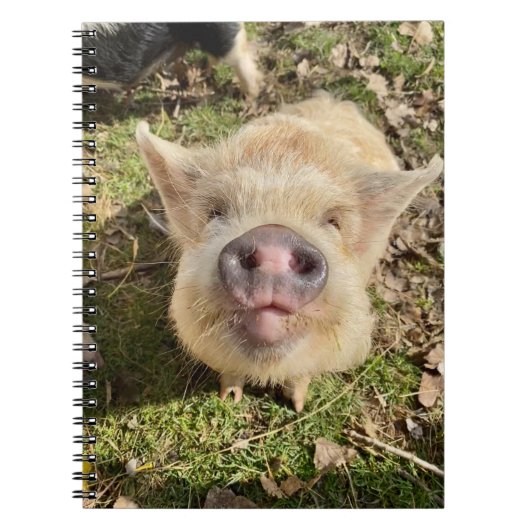 Juggling Daisies Mona-Notebook Notizblock (Vorderseite)