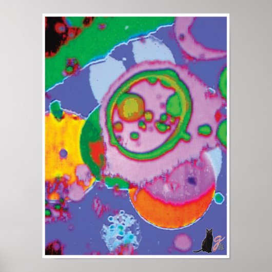 Juicey KC Image Poster (Vorne)