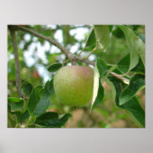 Juicy Green Apple Poster (Vorne)