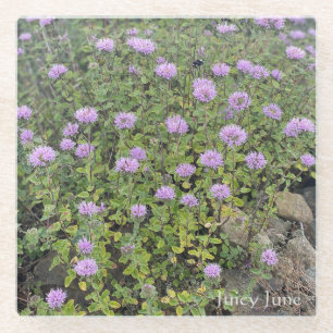 Juicy June Glasuntersetzer