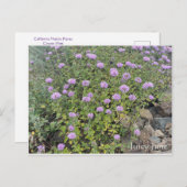 Juicy June Postkarte (Vorne/Hinten)