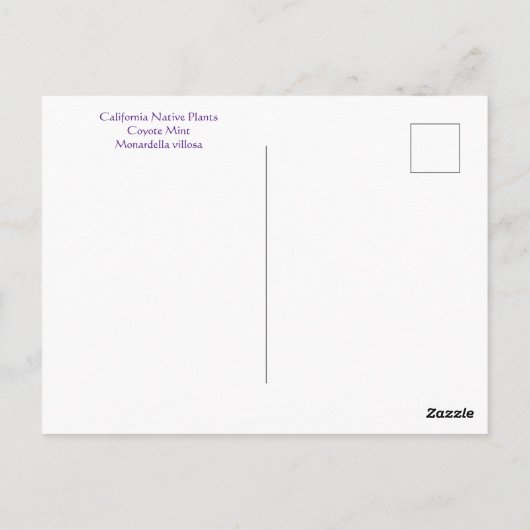 Juicy June Postkarte (Rückseite)