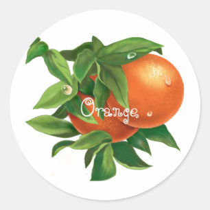 Juicy orange orange mit Wassertropfen Runder Aufkleber