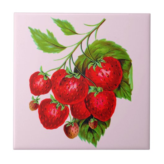 Juicy Red Strawberries Fliese (Vorderseite)