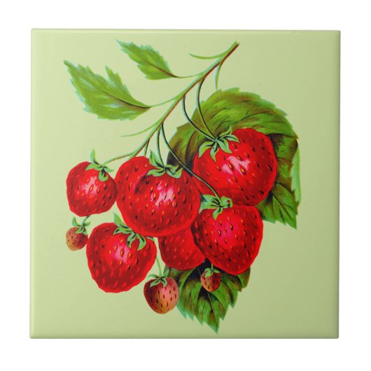 Juicy Red Strawberries Fliese (Vorderseite)