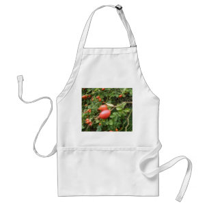 Juicy Rote Rose Hips Kochen Schürze