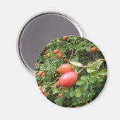 Juicy Rote Rose Hips Magnet (Vorderseite/Rückseite)