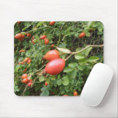 Juicy Rote Rose Hips Mousepad (Mit Mouse)