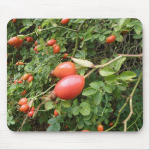 Juicy Rote Rose Hips Mousepad