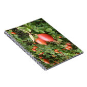 Juicy Rote Rose Hips Notebook Notizblock (Rechte Seite)