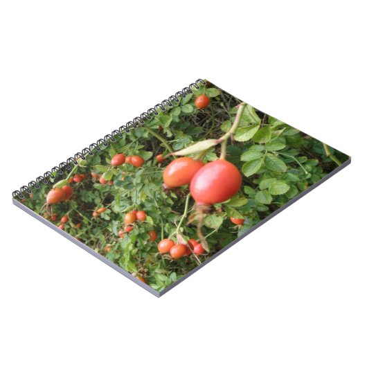 Juicy Rote Rose Hips Notebook Notizblock (Linke Seite)