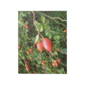 Juicy Rote Rose Hips Notepad Notizblock (Rotiert)