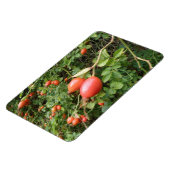 Juicy Rote Rose Hips Premium Magnet (Linke Seite)
