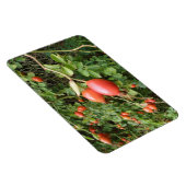Juicy Rote Rose Hips Premium Magnet (Rechte Seite)