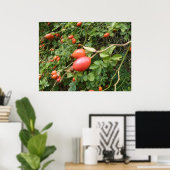 Juicy Rote Rose Hips Print Poster (Heimbüro)