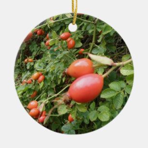 Juicy Rote Rose Hüfte Ornamente