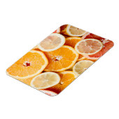 Juicy Sliced Citrus Fruits Magnet (Linke Seite)