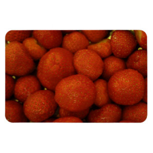 Juicy Strawberries Premium Magnet