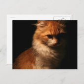 Jule Postkarte (Vorne/Hinten)