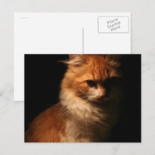 Jule Postkarte (Vorne/Hinten)