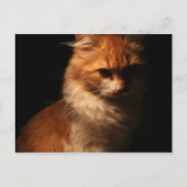 Jule Postkarte (Vorderseite)