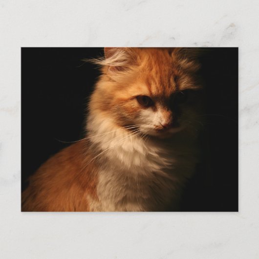 Jule Postkarte (Vorderseite)