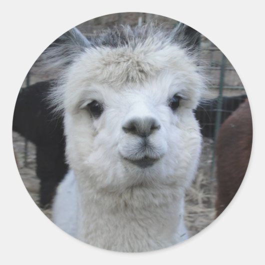 Jules Verne Runder Aufkleber (Vorderseite)