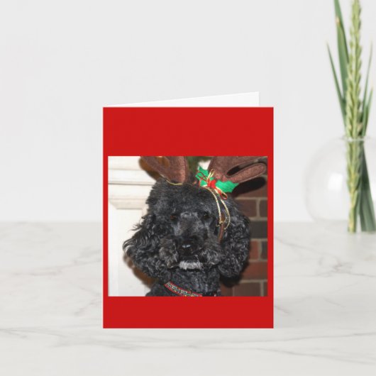 Jules Yule. Feiertagskarte (Vorderseite)