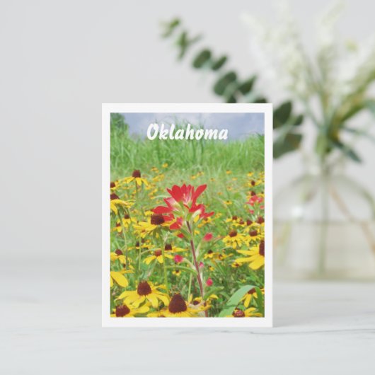 juli2007 indian paintbursh, Oklahoma Postkarte (Stehend Vorderseite)