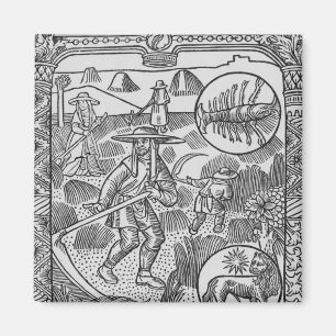 Juli, Heuernte, Krebs Magnet