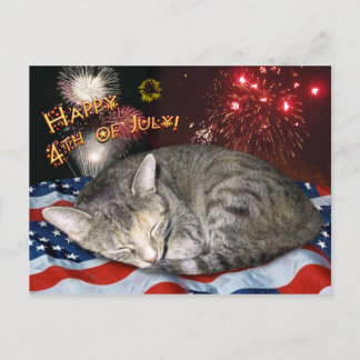 Juli Katze und Feuerwerk Postkarte