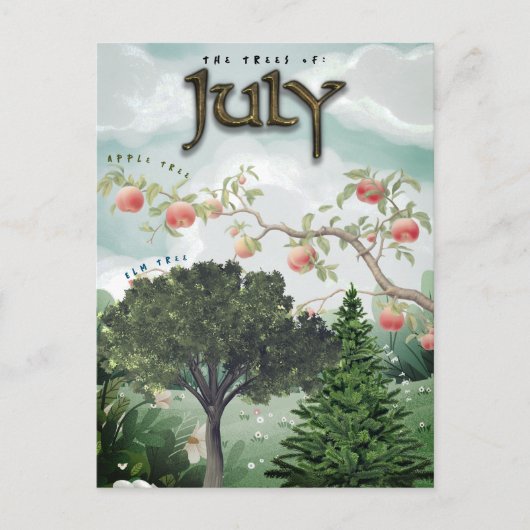 Juli Month Trees Fir Apple Elm Postkarte (Vorderseite)