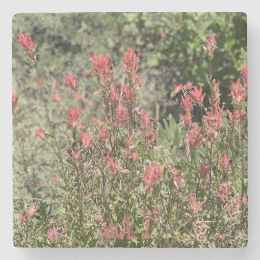 Juli Rock Show Steinuntersetzer (Vorderseite)