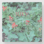 JULI STEINUNTERSETZER (Vorderseite)