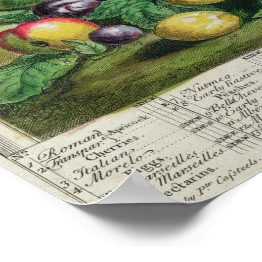 Juli, "Zwölf Monate Obst" Poster (Ecke)