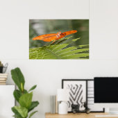 Julia Butterfly auf einem Blatt Poster (Heimbüro)