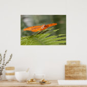 Julia Butterfly auf einem Blatt Poster (Küche)