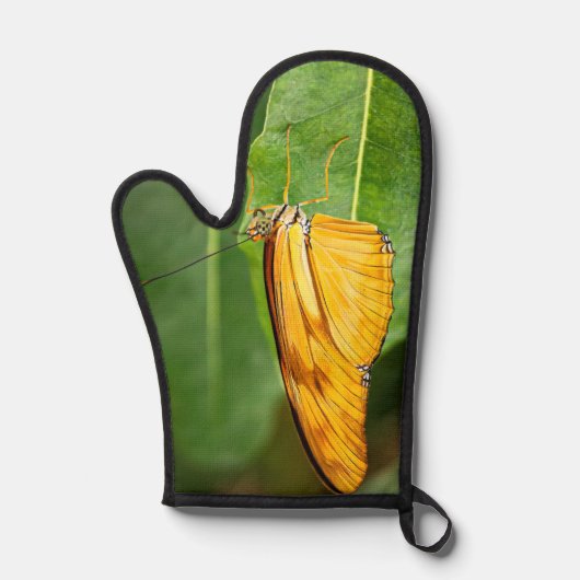 Julia Butterfly  Ofenhandschuh (Vorderseite)