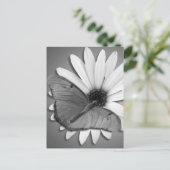 Julia Butterfly on Daisy Postkarte (Stehend Vorderseite)